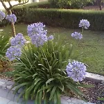 Vin Lägenhet Trogir