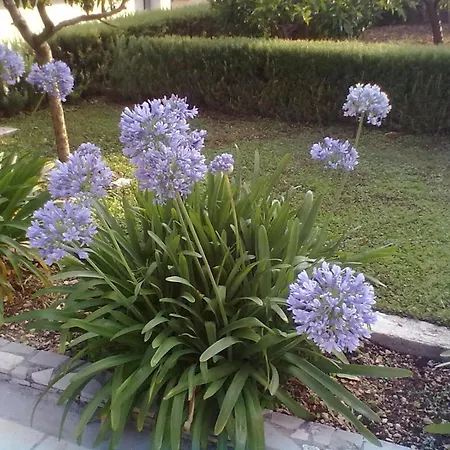 Vin Apartamento Trogir